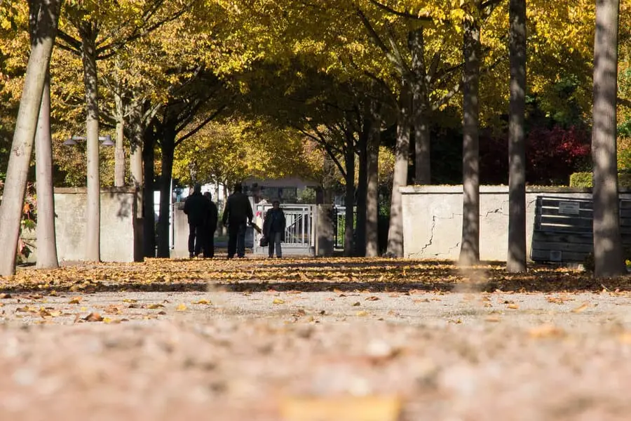 Friedhofbetreuung Eigenbetriebe Lörrach