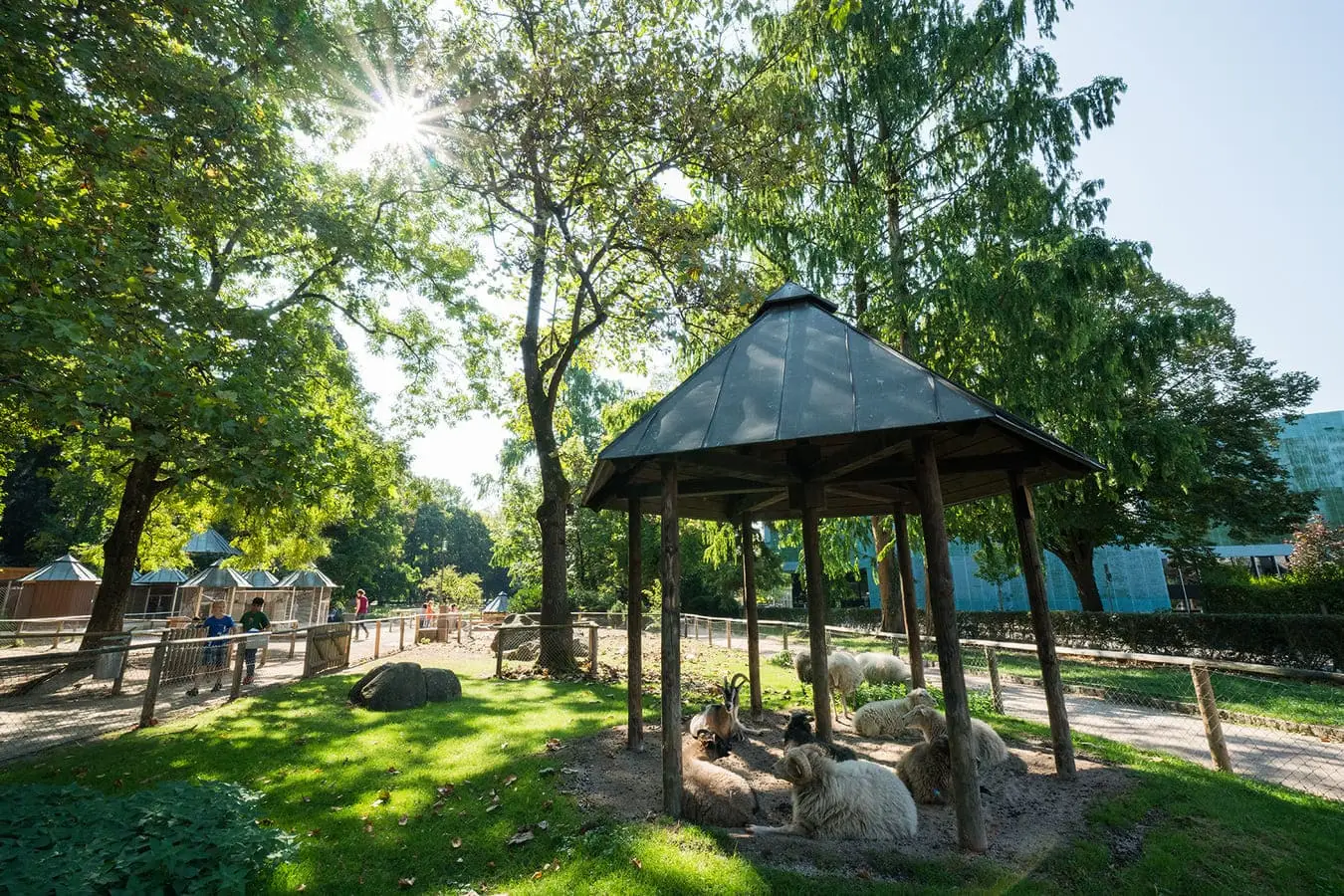 Grüttpark Pflege Lörrach